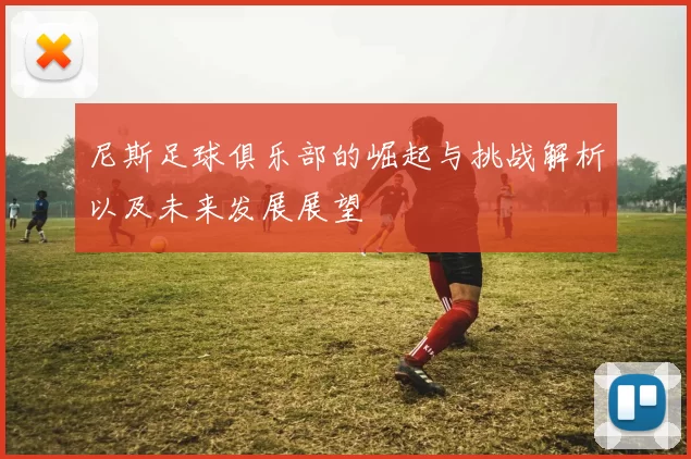 尼斯足球俱乐部的崛起与挑战解析以及未来发展展望