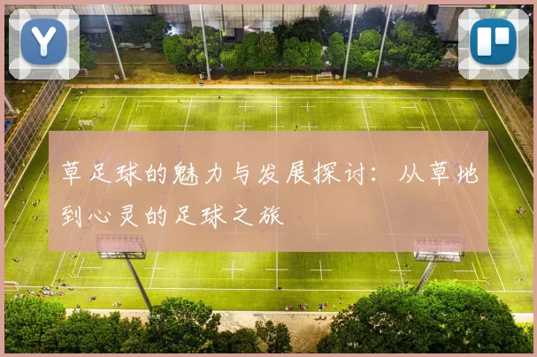 草足球的魅力与发展探讨：从草地到心灵的足球之旅